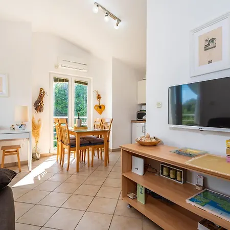 Pet Friendly In With Kitchen